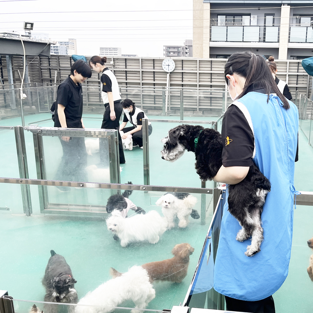 ☆５月５日こどもの日☆